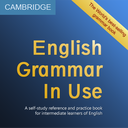 Grammar In Use (Intermediate)