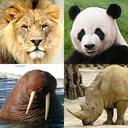 Animals Quiz - Learn All Mammals and Dinosaurs!