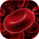 اطلس خون شناسی پزشکی