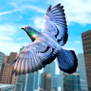 Wild Pigeon Birds Simulator 3D