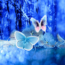 Abstract Butterflies Wallpaper
