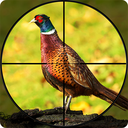 Pheasant Shooter Birds Hunting