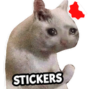 New Funny Cat Memes Stickers WAStickerApps
