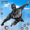 Flying Panther Hero City Crime