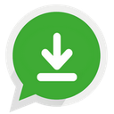 WhatsApp Professional Downloader
