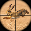 Rabbit Game Sniper Shooting