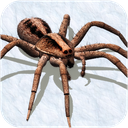 Ultimate Spider Simulator - RPG Game
