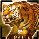 Tiger King Simulator