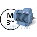 Electric Motor PRO