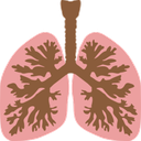 دستگاه تنفس و آلرژی