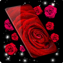 Red Rose Live Wallpaper 🌹 Flowers 4K Wallpapers