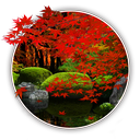 Zen Garden -Fall-